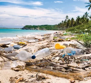 keep sea blue end plastic waste