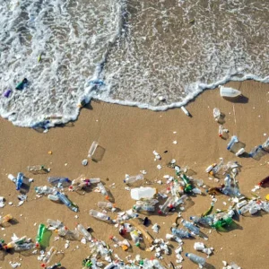 mediterranean plastic polution
